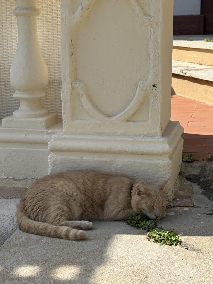 This image has an empty alt attribute; its file name is IMG_6942-712x950.jpg